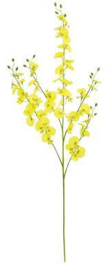  ONCIDIUM ORCHID YELLOW 30"