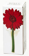 Wall Flower Vase