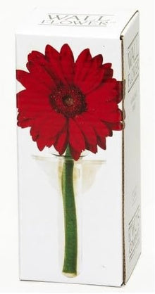  Wall Flower Vase