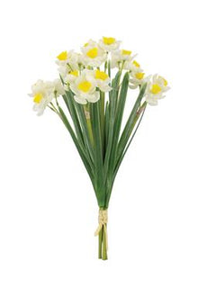  NARCISSUS BUNDLE CREAM YELLOW