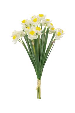 NARCISSUS BUNDLE CREAM YELLOW