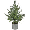 Potted Norfolk Pine Tree Natural Green