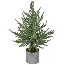  Potted Norfolk Pine Tree Natural Green