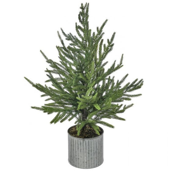 Potted Norfolk Pine Tree Natural Green