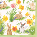  Bunnies and Daffodils Boxed Napkins