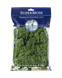  Reindeer Moss Bag Basil Color