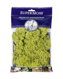  Reindeer Moss Bag