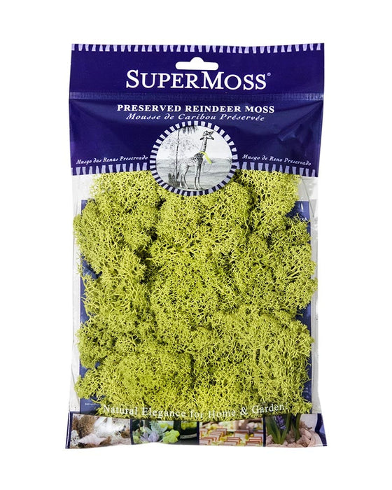 Reindeer Moss Bag