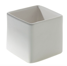  White Urban Square 5.5" Container