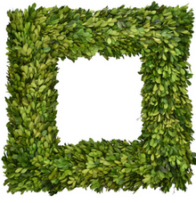  Boxwood Country Manor Wreath 20" Square