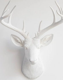  27" Distressed White Resin Deer Bust