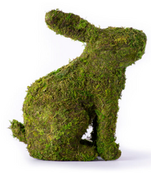  Moss Bunny Planter