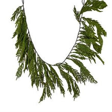  6'L Norfolk Island Pine Hanging Garland