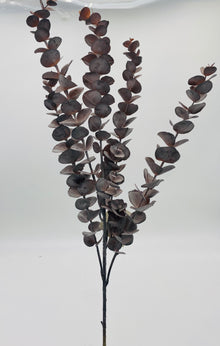  Maure Eucalyptus Spray