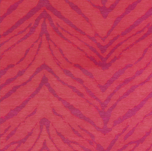  Fuchsia/Orange Wild Kingdom Gift Wrap