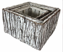  White Tree Bark Container